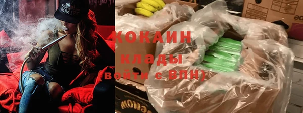 спайс Арсеньев