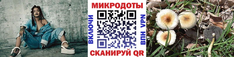 блэк спрут ССЫЛКА  дарнет шоп  Семикаракорск  Галлюциногенные грибы Psilocybe 